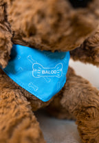 Jas & Mika Baloo Bamse Limited